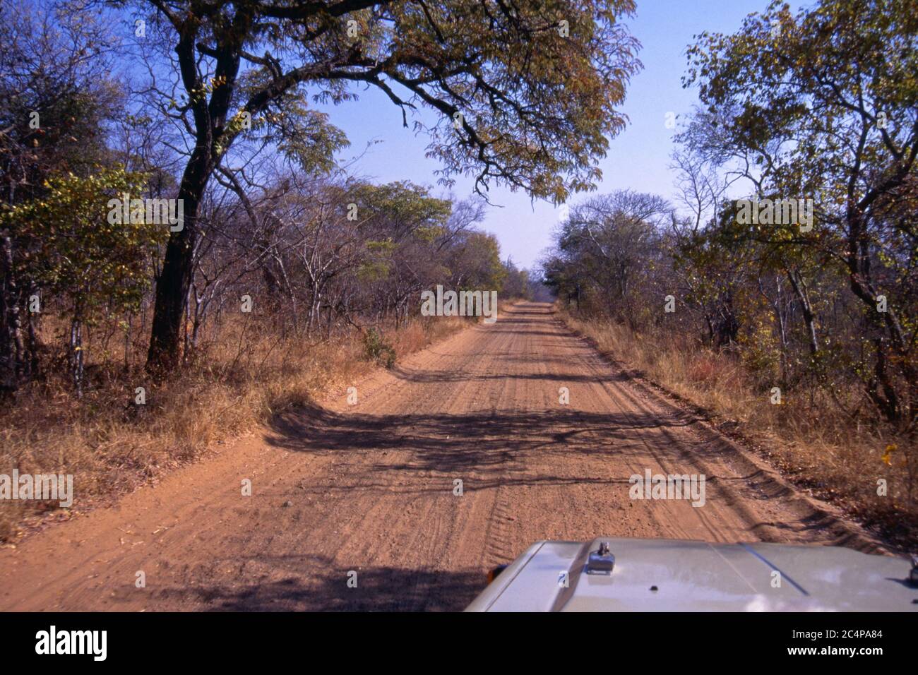 Sightseeing-Fahrt, Hwange National Park, Simbabwe, entlang der typischen unbefestigten Straße Stockfoto