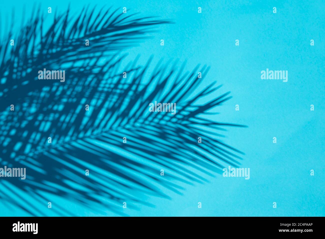 Handfläche hinterlässt Schatten auf blauem Hintergrund Stockfoto