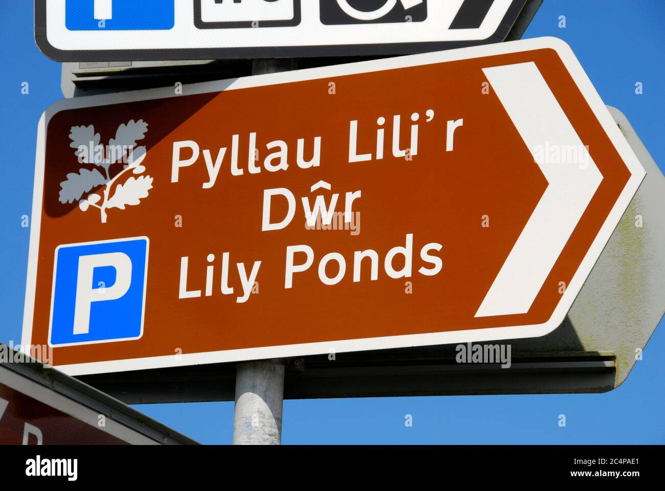 National Trust Zeichen, die Lily Ponds in zwei Sprachen, Englisch und Walisisch, Bosherston, Pembrokeshire, Wales Stockfoto