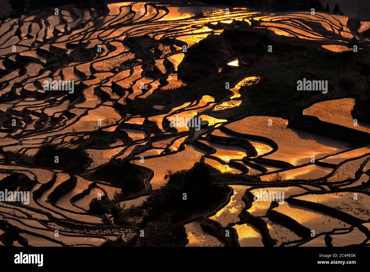 Sonnenaufgang über Reisterrassen in Duoyishu Scenic Area in Yunnan Region, China. Diese malerische Gegend ist der beste Ort, um den Sonnenaufgang über den Reisfeldern zu beobachten Stockfoto