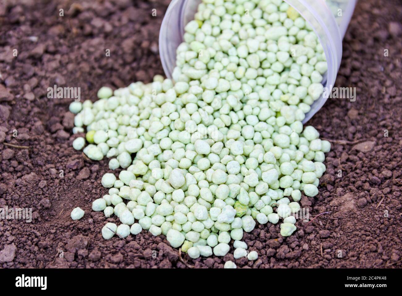 Grün verschiedene Form chemische Düngemittel Granulat auf dem Boden. Stockfoto