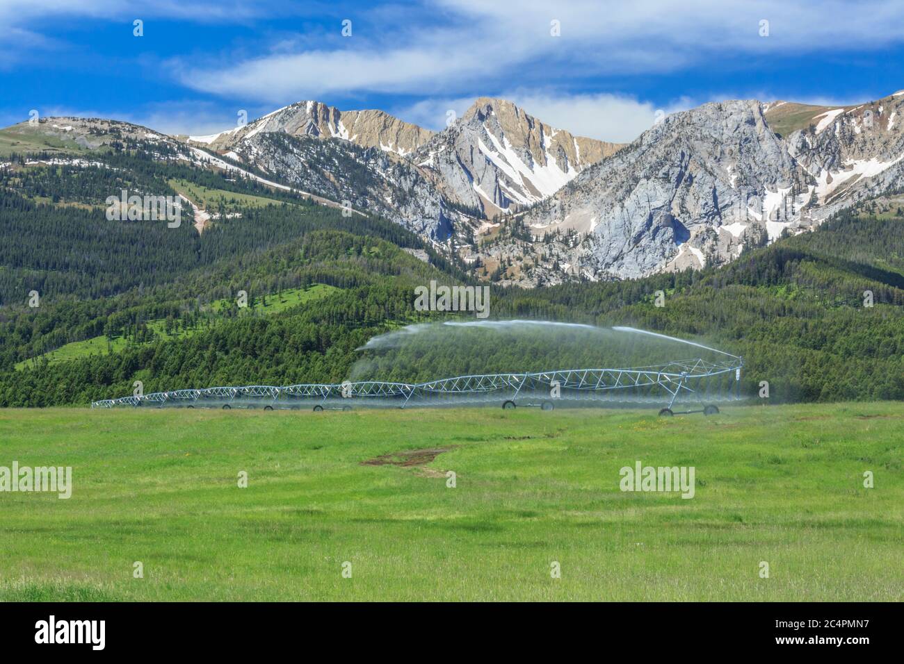 Sprinklerbewässerung in einer Heuwiese unterhalb der bridger Range bei Wilsall, montana Stockfoto