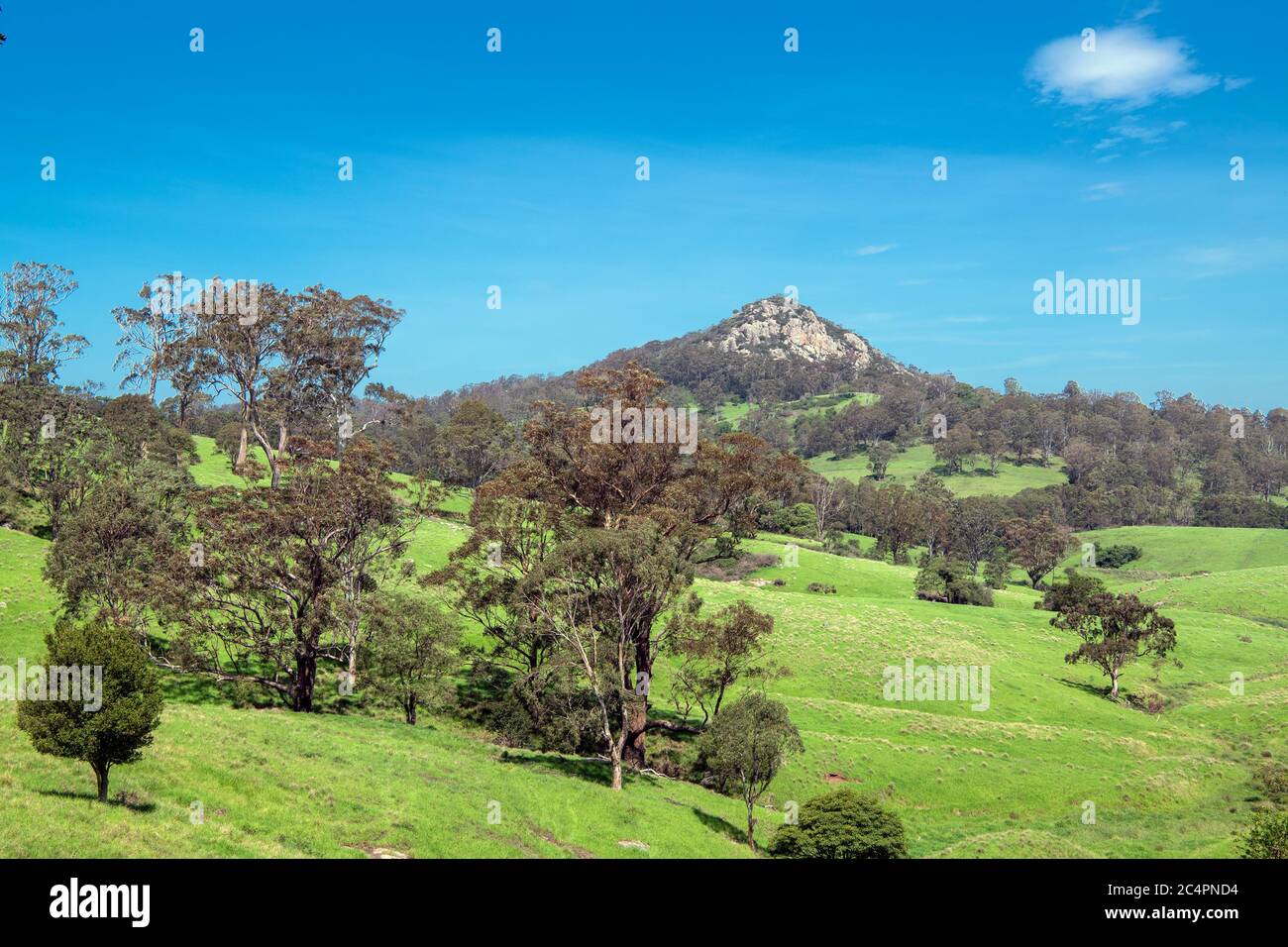 Agrarlandschaft mit Little Dromedary Moumtain Tilba Tilba NSW Australien Stockfoto