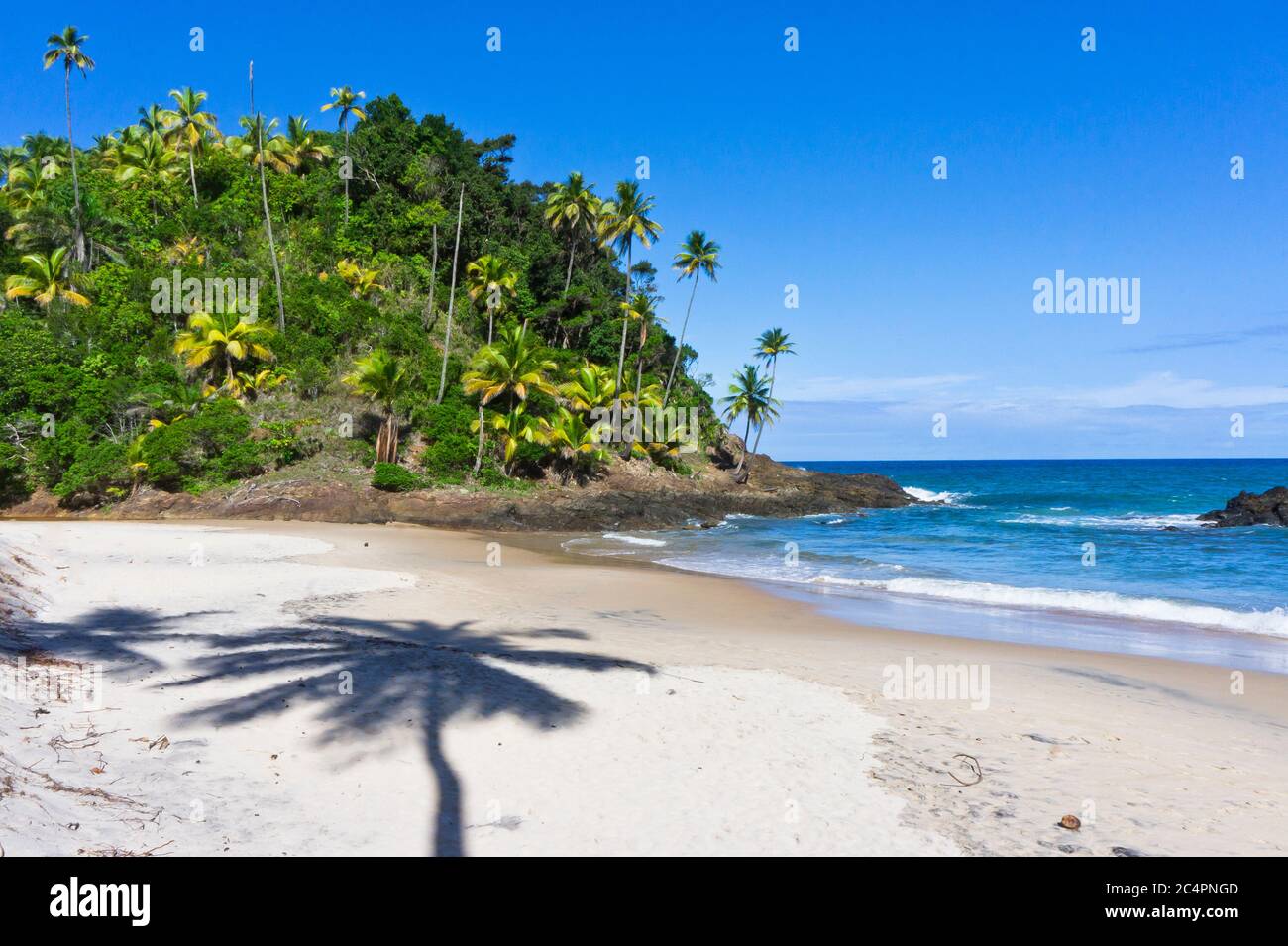Blick auf den tropischen Strand, Itacare, Bahia, Brasilien Stockfoto