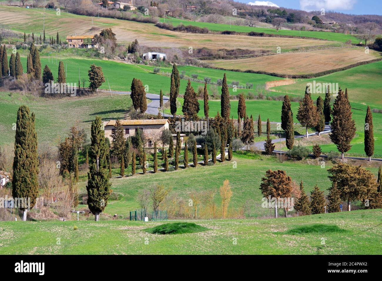 Kleine Straßen mit mediterranen Zypressen, Bauernhäusern und grünen Hügeln, eine typische Landschaft der Toskana, Italien Stockfoto