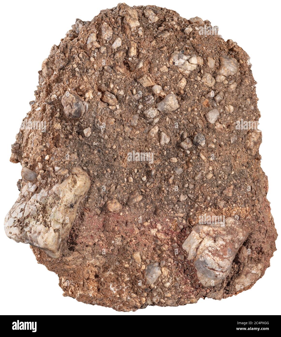 Caliche Konglomerat Felsen Caliche ist ein Sedimentgestein, ein gehärteter natürlicher Zement aus Calciumcarbonat, der andere Materialien bindet – wie Kies, san Stockfoto