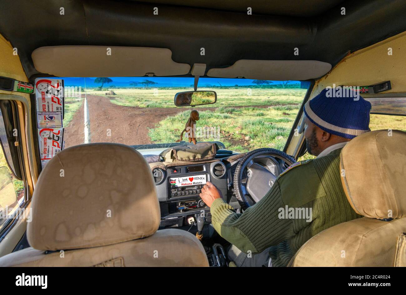 Fahrer/Führer in einem Toyota Safari Fahrzeug auf einer Wildtierfahrt, Amboseli Nationalpark, Kenia, Afrika Stockfoto