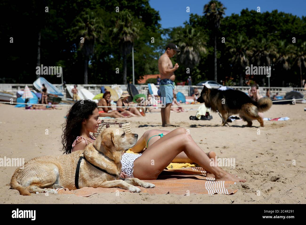 Oeiras, Portugal. Juni 2020. Am 28. Juni 2020 genießen die Menschen die Freizeit mit ihren Hunden an einem haustierfreundlichen Strand in Oeiras, Portugal. Portugal wird seine COVID-19-Reaktion auf einen "Alarmzustand", den niedrigsten von drei Notständen, am 1. Juli weiter herabstufen, sagte der portugiesische Premierminister Antonio Costa am Donnerstag. Quelle: Pedro Fiuza/Xinhua/Alamy Live News Stockfoto