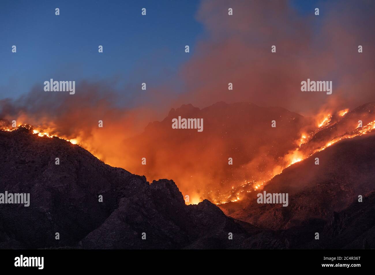 The Bighorn Fire, Catalina Foothills, Tucson, AZ 6-19-2020 Stockfoto