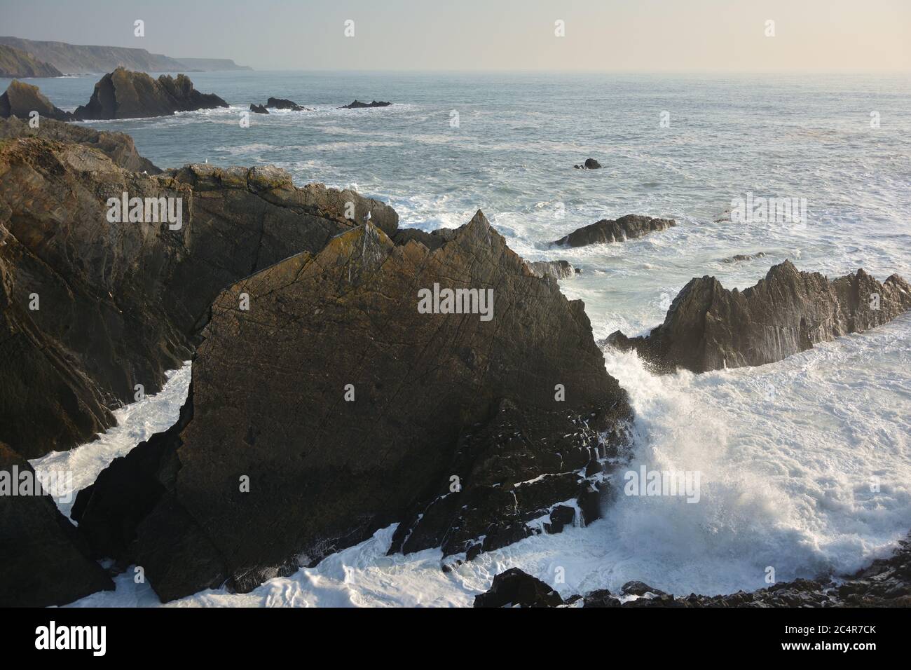 Felsige Klippen und Wellen am Hartland Quay, North Devon, Großbritannien Stockfoto