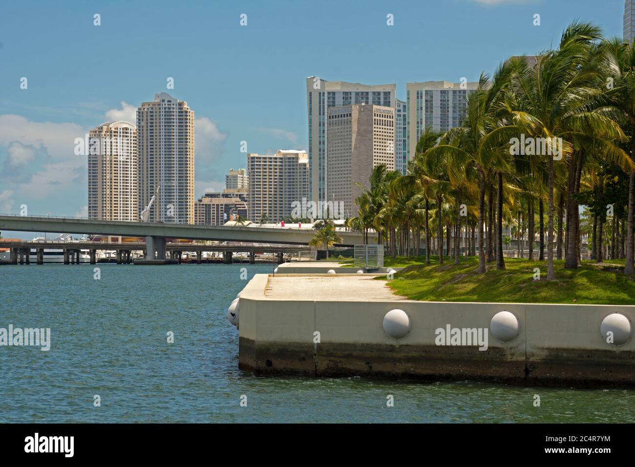 Downtown Miami vom Maurice A. Ferr Park aus gesehen, Miami, Florida, USA Stockfoto