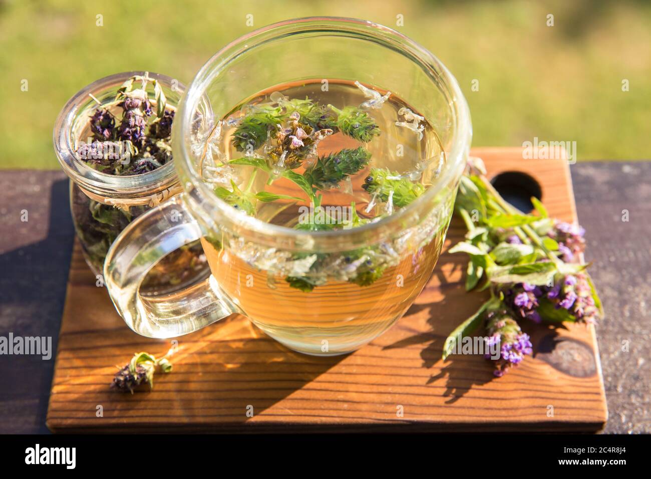 Prunella vulgaris (bekannt als gemeinsame Selbstheilung, Heilung-alle, Wundkraut, Herz-der-Erde, Zimmermannskraut, Braunwürz und blaue Locken Kräutertee. Stockfoto