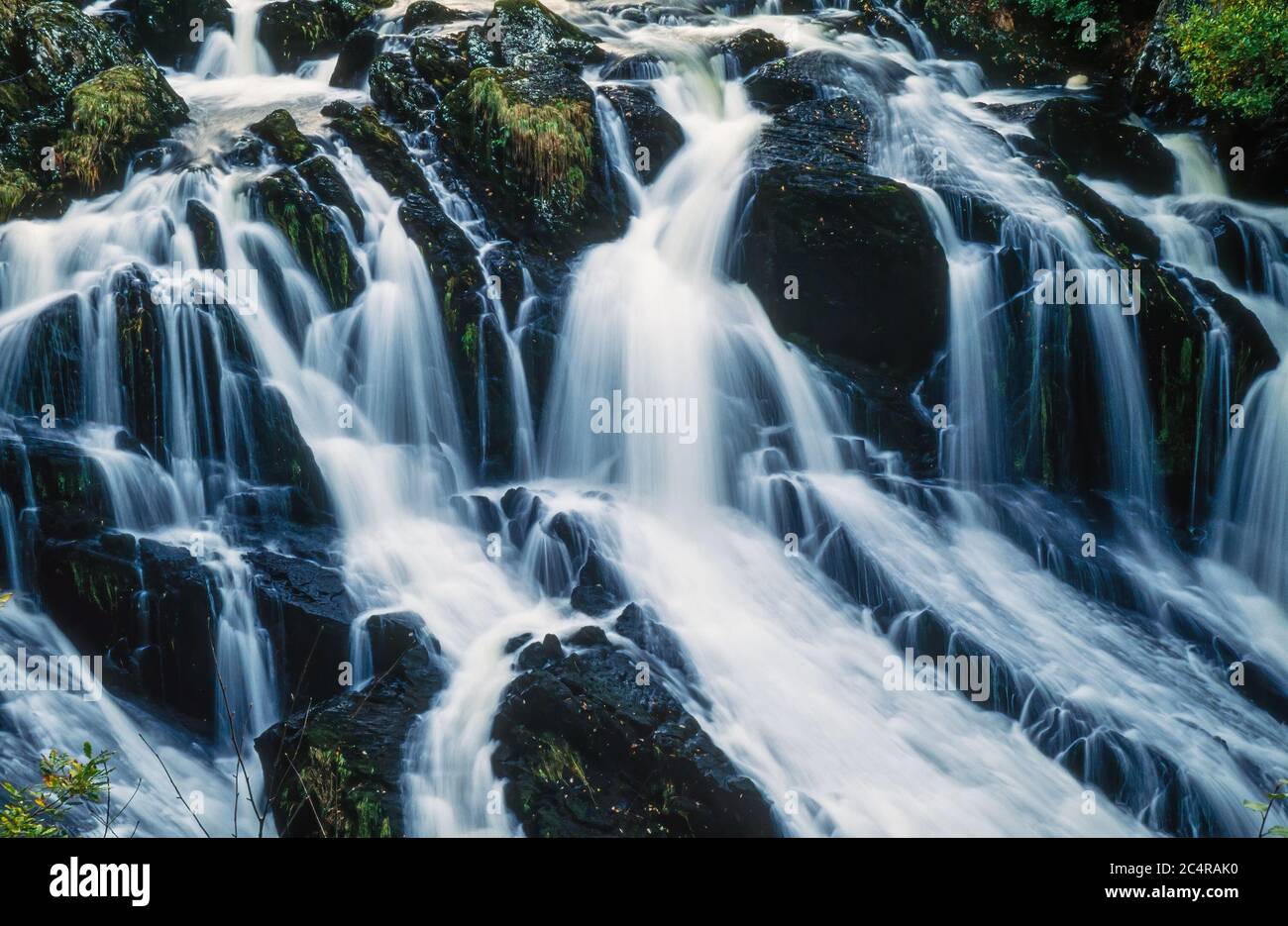 Swallow Falls (Rhaeadr Ewynnol) Wasserfälle auf Afon Llungwy Fluss in der Nähe von Betws-y-Coed, im Herbst, Wales, Großbritannien Stockfoto