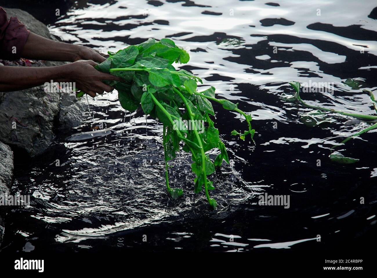 Abwasser aus Dhaka Stadt, die zum Fluss Buriganga entwässert trägt zu seinen Verschmutzungen. Am ‘Weltwassertag’, der am 22. März 2007 unter dem Motto ‘Umgang mit Wasserknappheit“ unter der Leitung der Ernährungs- und Landwirtschaftsorganisation der Vereinten Nationen beobachtet wurde, untersucht DrikNEWS einige Bilder des Flusses. Die internationale Befolgung des Weltwassertages ist eine Initiative, die aus der Konferenz der Vereinten Nationen über Umwelt und Entwicklung (UNCED) 1992 in Rio de Janeiro hervorging. UN-Water hat die Bewältigung von Wasserknappheit als Teil der strategischen Fragen und Prioritäten identifiziert Stockfoto