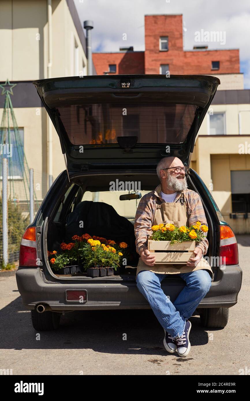 Vertikale voller Länge Porträt von bärtigen Senior Mann hält Box mit Blumen und sitzt im Kofferraum im Freien bereit für den Garten gehen Stockfoto