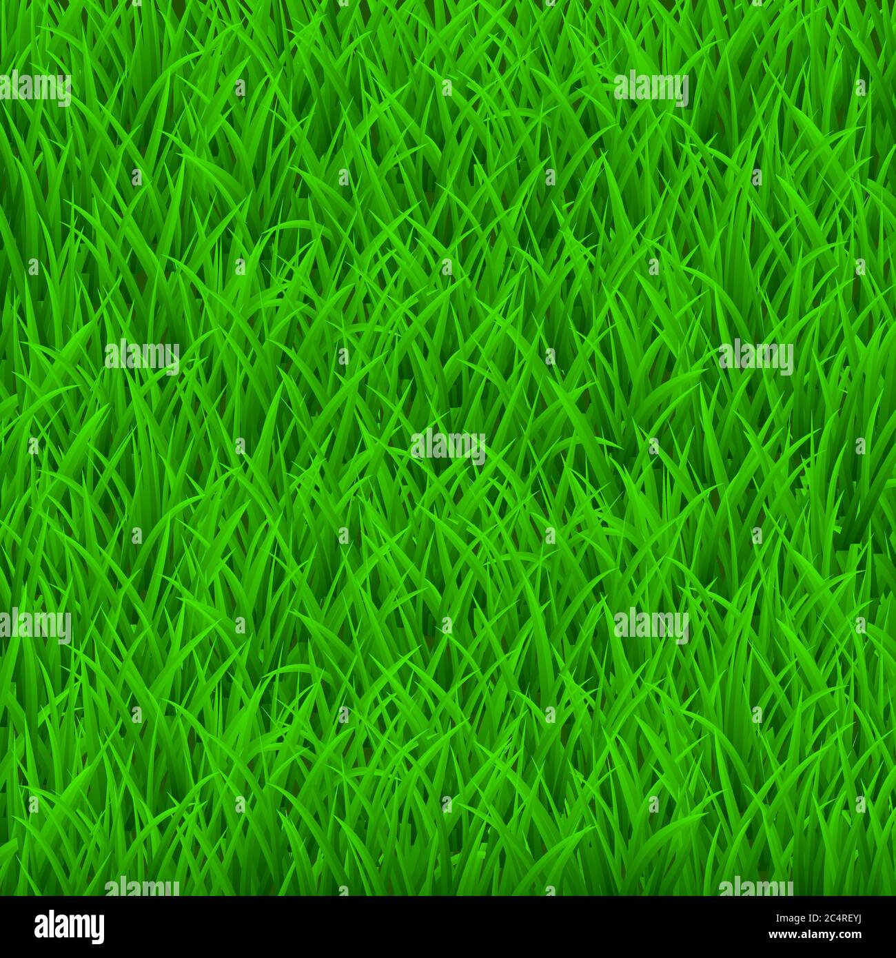 Hintergrund von frischem grünen Gras. Draufsicht. Stock Vektor