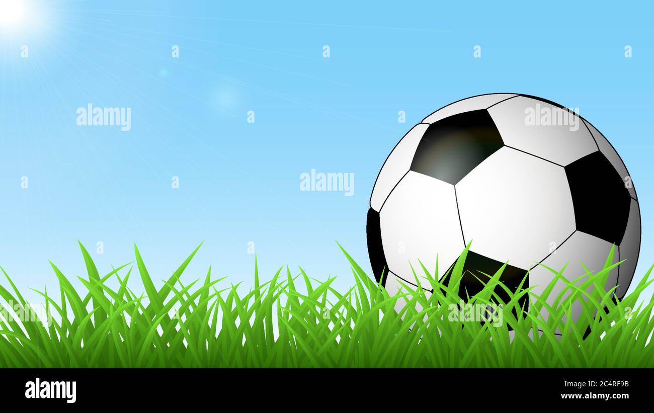 Fußball auf dem grünen Gras gegen den blauen Himmel und die Sonne Stock Vektor