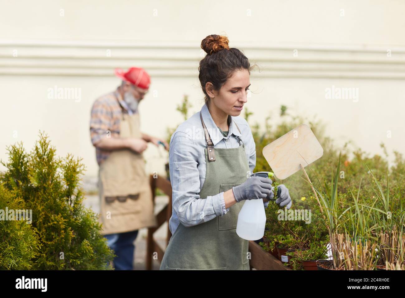 Taille up Porträt von jungen Frau Pflege für Pflanzen während der Arbeit im Garten oder Plantage, kopieren Raum Stockfoto