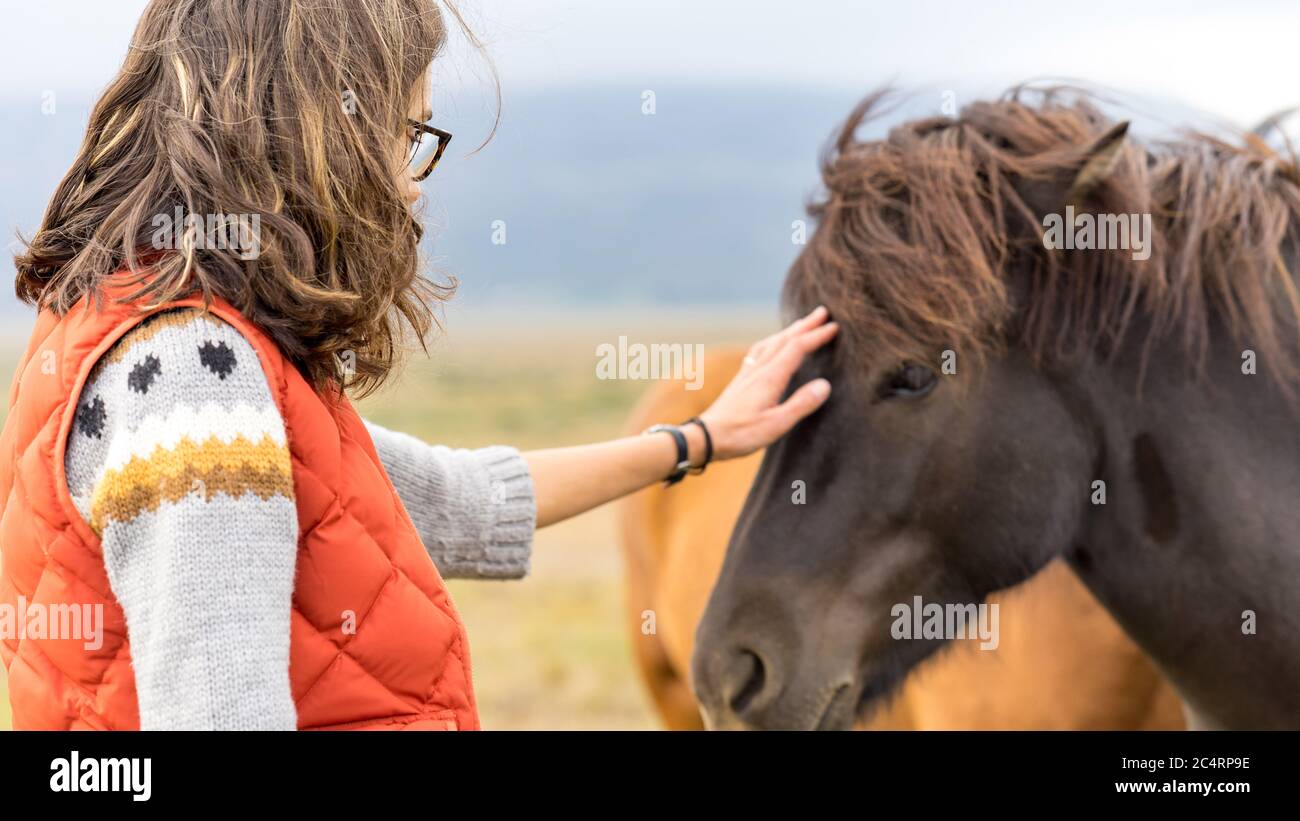 Mädchen spielt mit wilden braunen isländischen Pferden auf einem Düsterer Tag Stockfoto