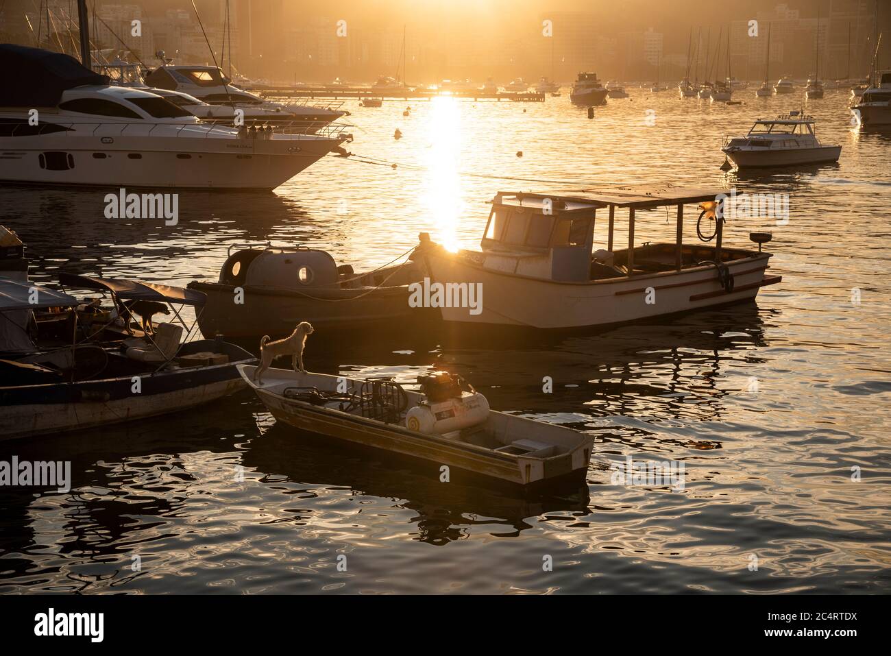 Schöne Aussicht auf Boote in Guanabara Bay bei einem gelben Sonnenuntergang, Rio de Janeiro, Brasilien Stockfoto