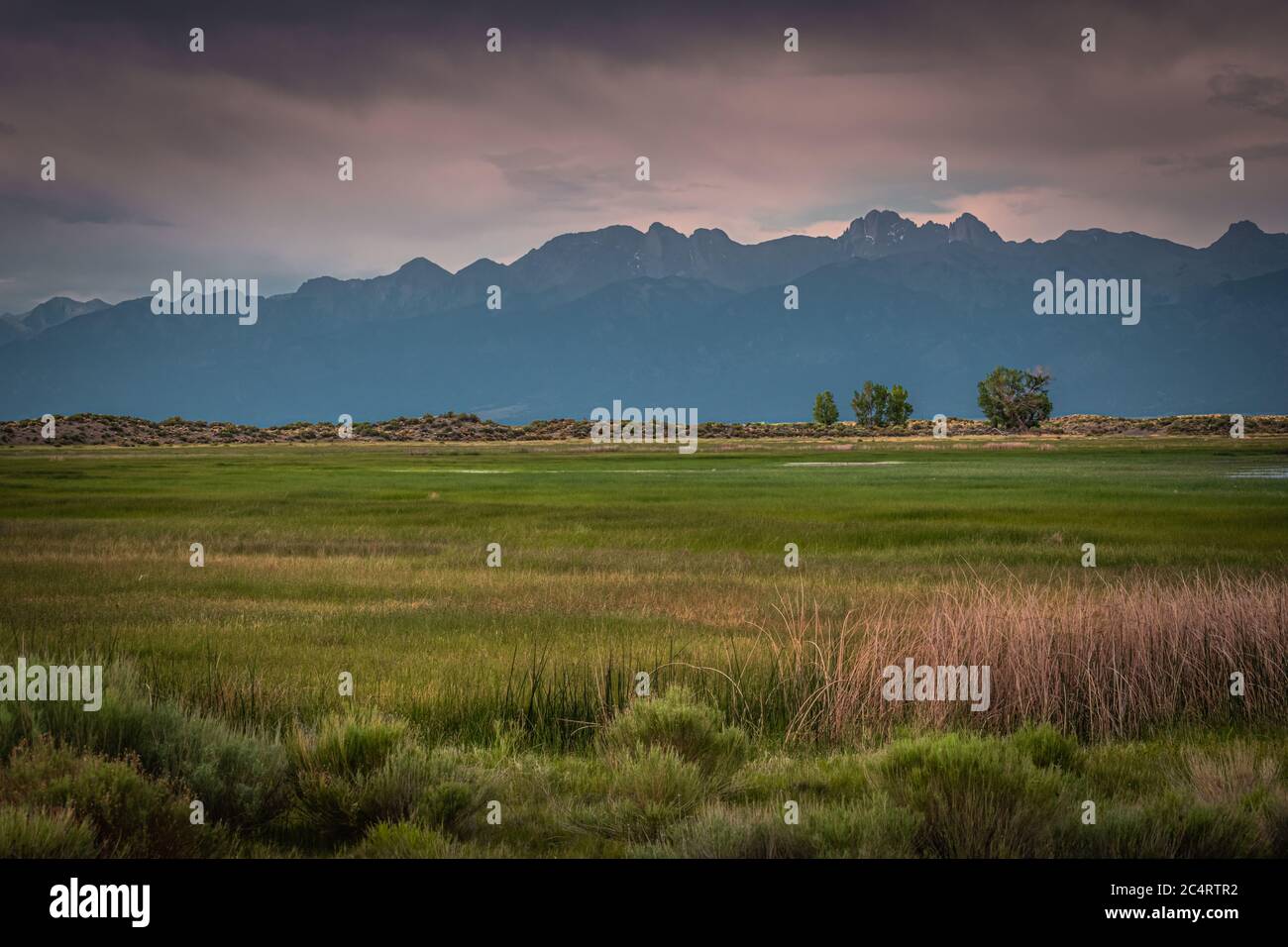 San Luis Lakes State Park Landschaft Stockfoto