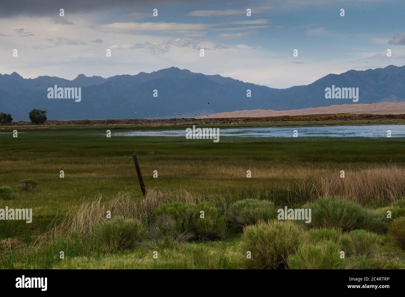 San Luis Lakes State Park Landschaft Stockfoto