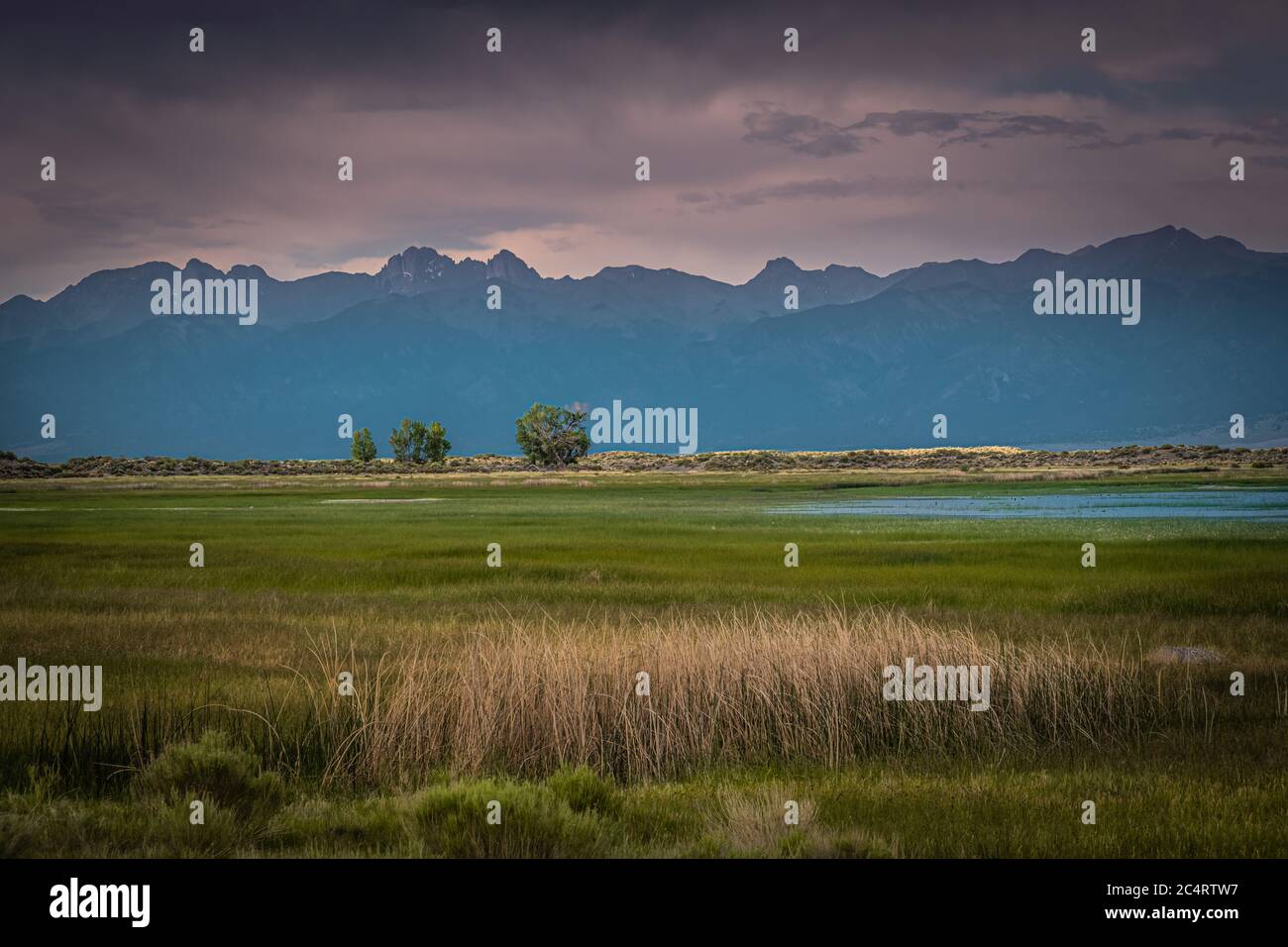 San Luis Lakes State Park Landschaft Stockfoto