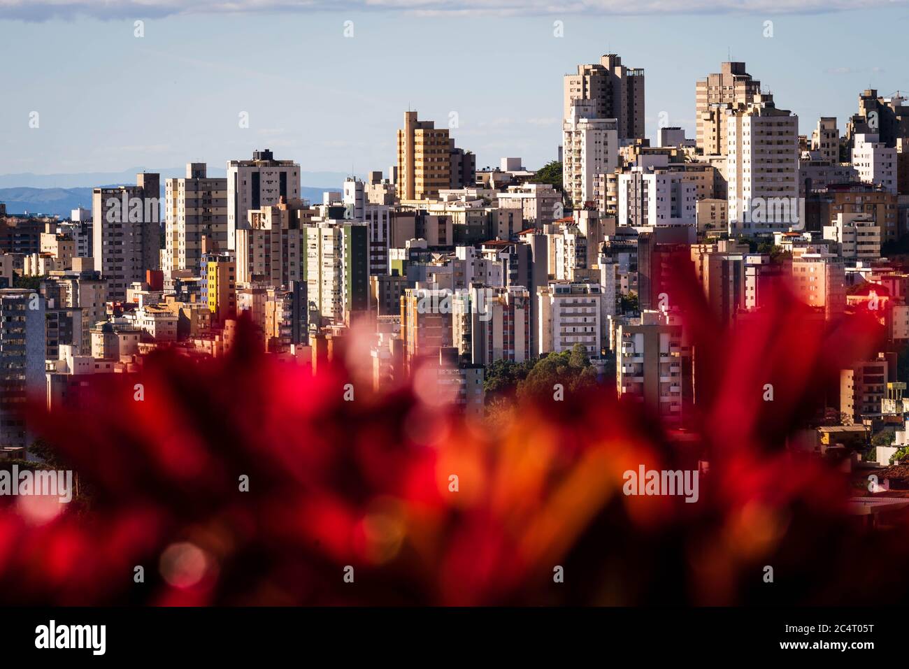 Blick auf die Stadt auf Hochhäuser auf einem Hügel in Belo Horizonte, Brasilien. Stockfoto