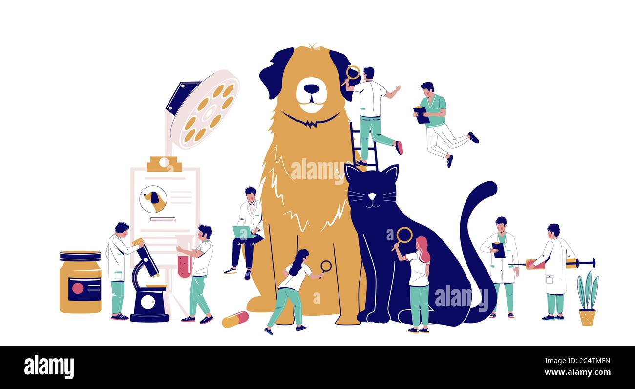 Tierarzt Haustier Check-up, Tierbehandlung, Vektor-flache Abbildung Stock Vektor