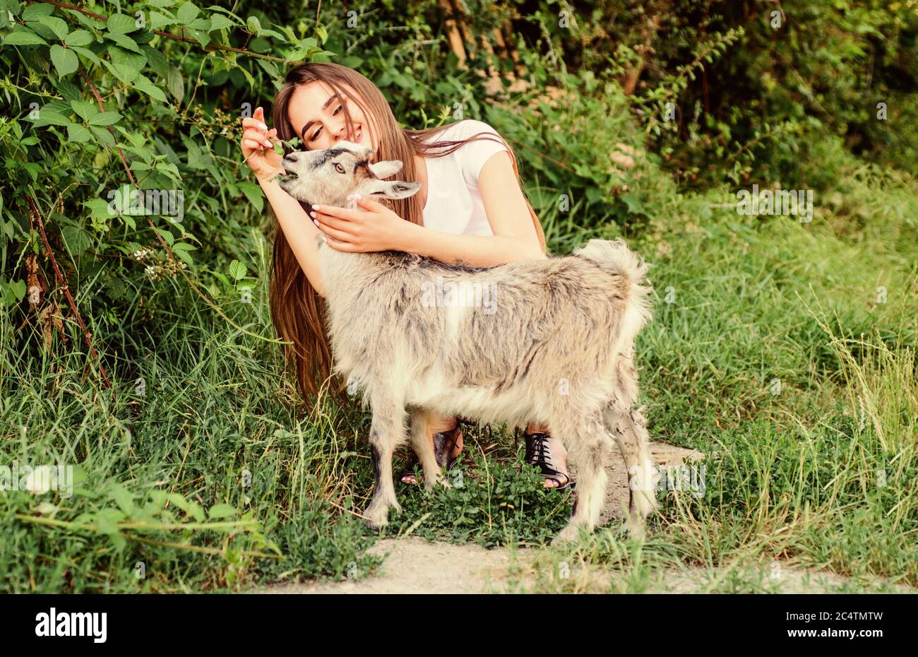 Dorf der Tiere. Mädchen spielen süße Ziege. Fütterung der Tiere. Schutz der Tiere. Tierarzt Besetzung. Eco Farm. Liebe und Fürsorge. Tiere recht. Frau und kleine Ziege grünes Gras. Agrar- und Landwirtschaft Konzept. Stockfoto