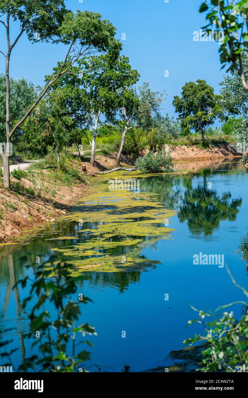 Blick auf den schönen El Clot de la Mare de Deu Teich in der Stadt Burriana mit Reflexen der Bäume im Wasser. Naturkonzept Stockfoto