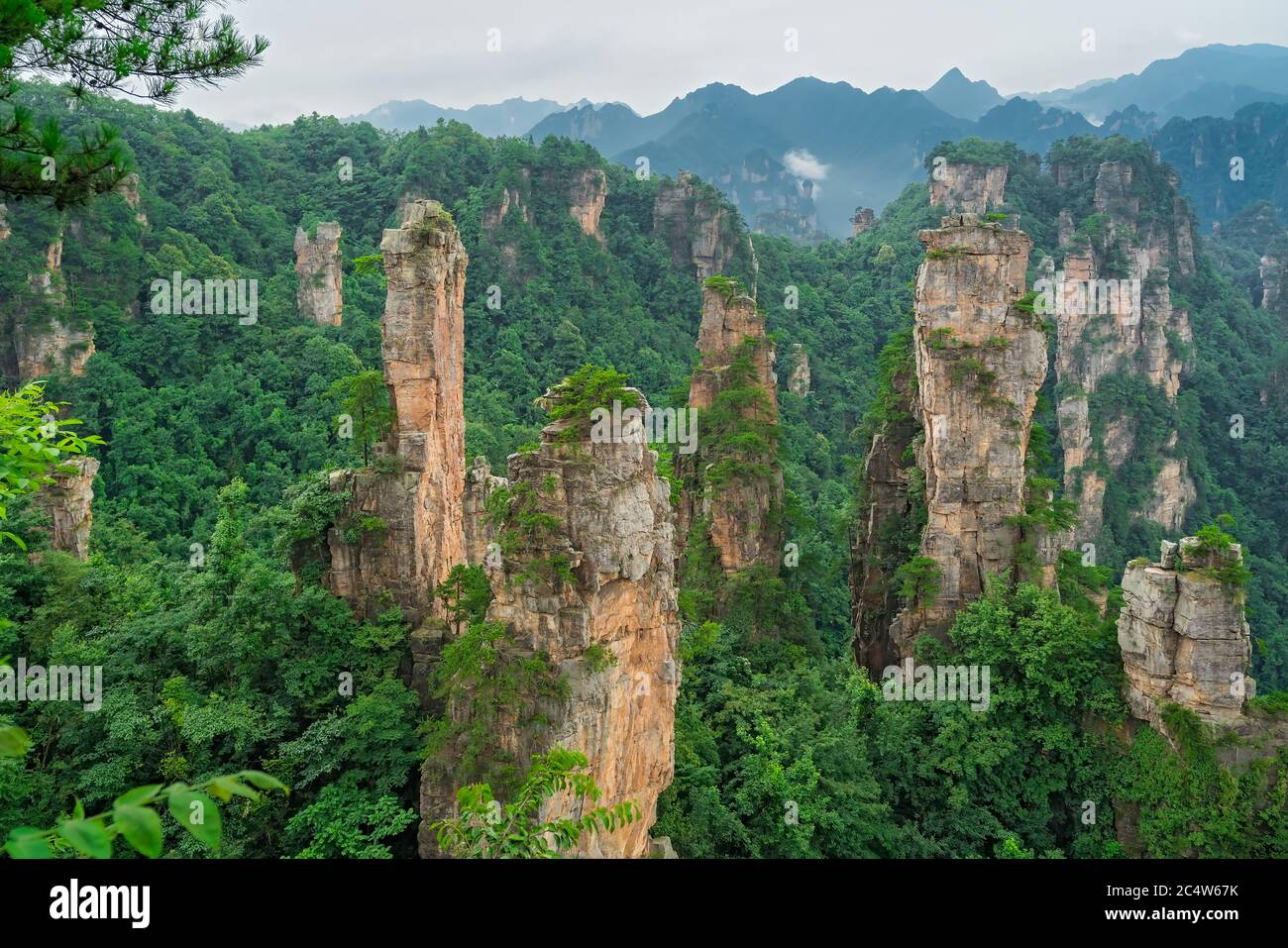 Atemberaubende Felspfeiler der Tianzi-Bergkette, Avatar Mountains Naturpark, Zhangjiajie, China Stockfoto