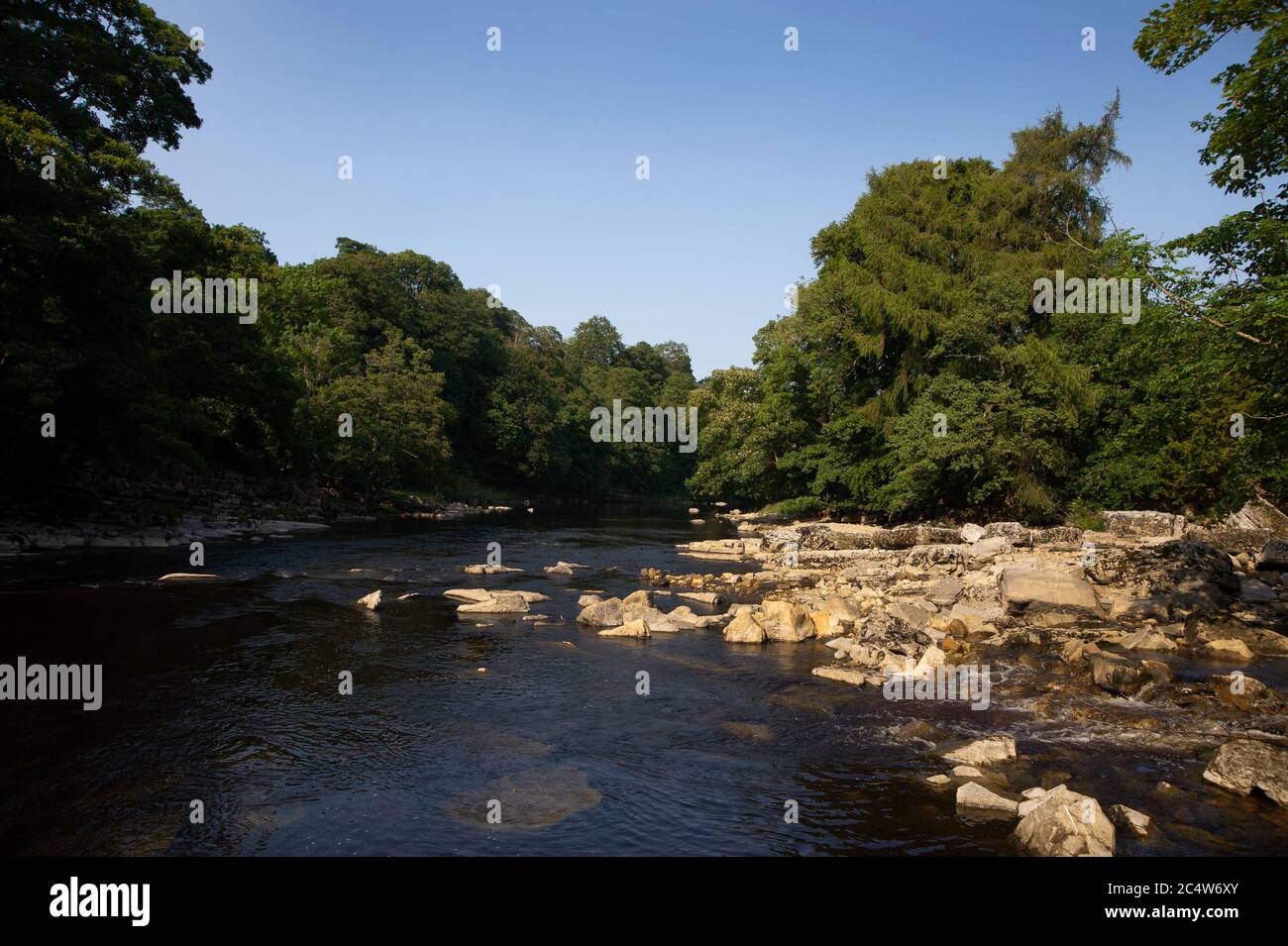 Treffen der Gewässer, Fluss Tees und Fluss Greta, Grafschaft Durham Stockfoto