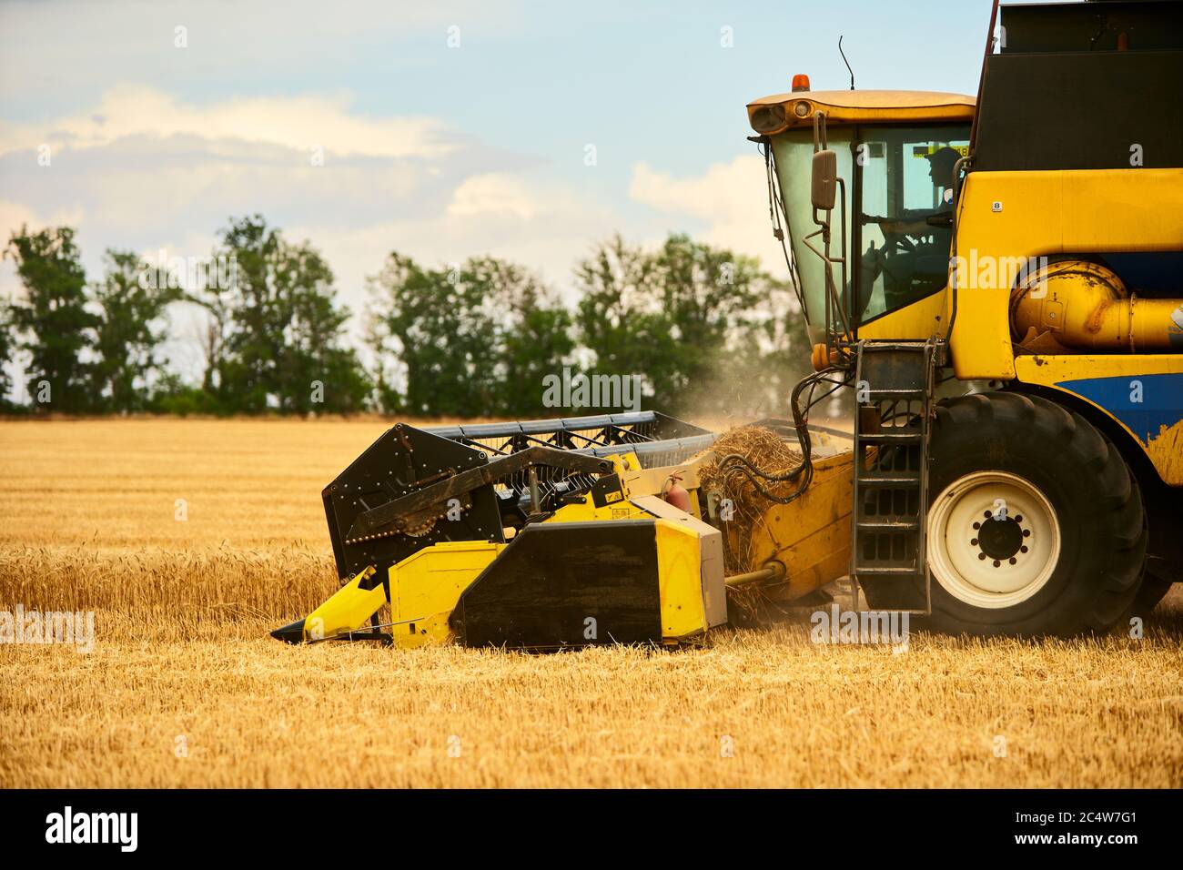 Kombinieren Sie Harvester arbeiten in Weizenfeld mit bewölktem Himmel launisch. Erntemaschine Fahrer Schneiden Ernte in einem Ackerland. Landwirtschaft Thema, Ernte Stockfoto