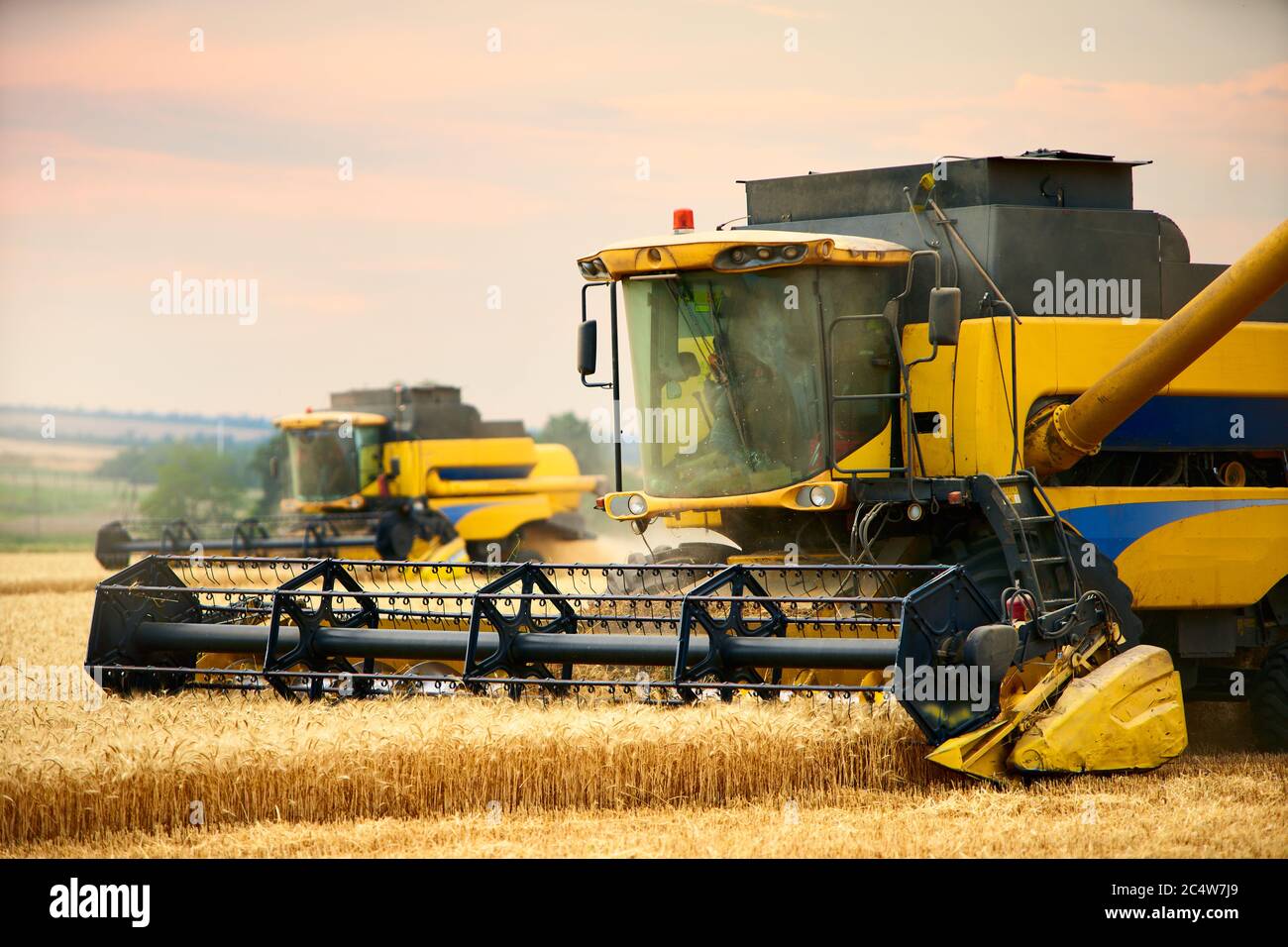 Kombinieren Sie Erntemaschinen arbeiten in Weizenfeld mit bewölktem Himmel launisch. Erntemaschine Fahrer Schneiden Ernte in einem Ackerland. Landwirtschaft Thema, Ernte Stockfoto