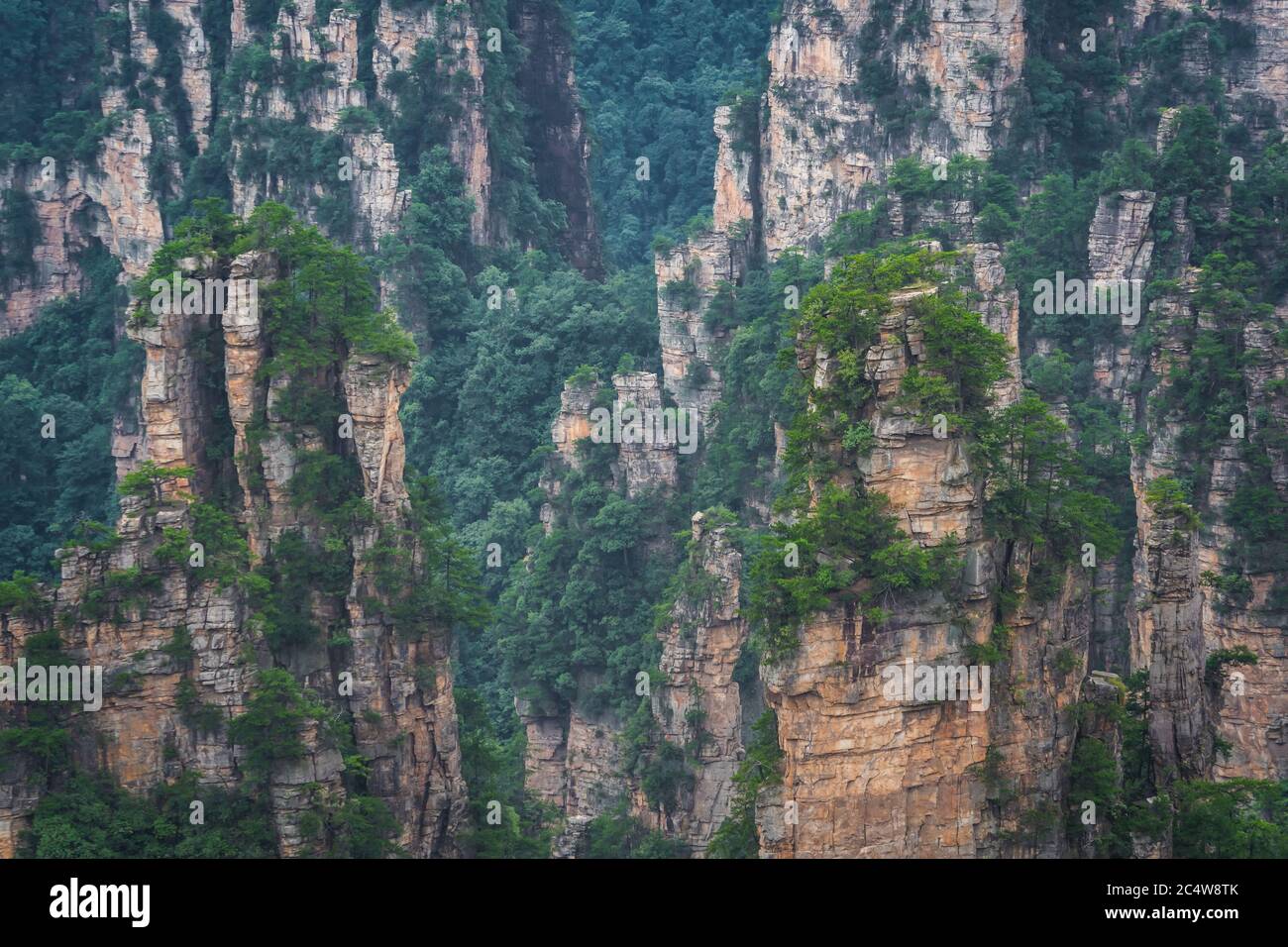 Atemberaubende Felspfeiler der Tianzi-Bergkette, Avatar Mountains Naturpark, Zhangjiajie, China Stockfoto