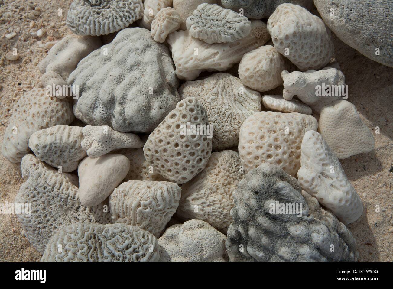 Kieselsteine am Strand mit ungewöhnlichen Markierungen kochen Inseln Südpazifik. Stockfoto
