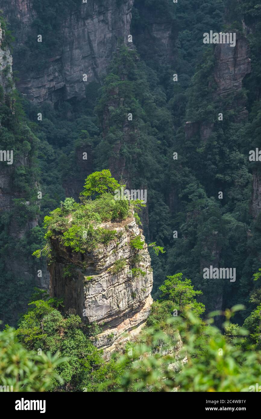 Vertikale Karstsäulen Felsformationen aus der Sicht der Enchanted Terrasse, Avatar Berge Naturpark, Zhangjiajie, China Stockfoto