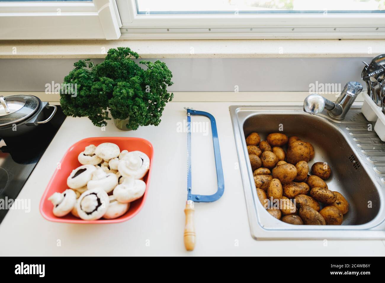 Frische Pilze auf dem Teller auf dem Tisch, lockige Petersilie, nicht geschälte Kartoffeln in der Spüle. Stockfoto