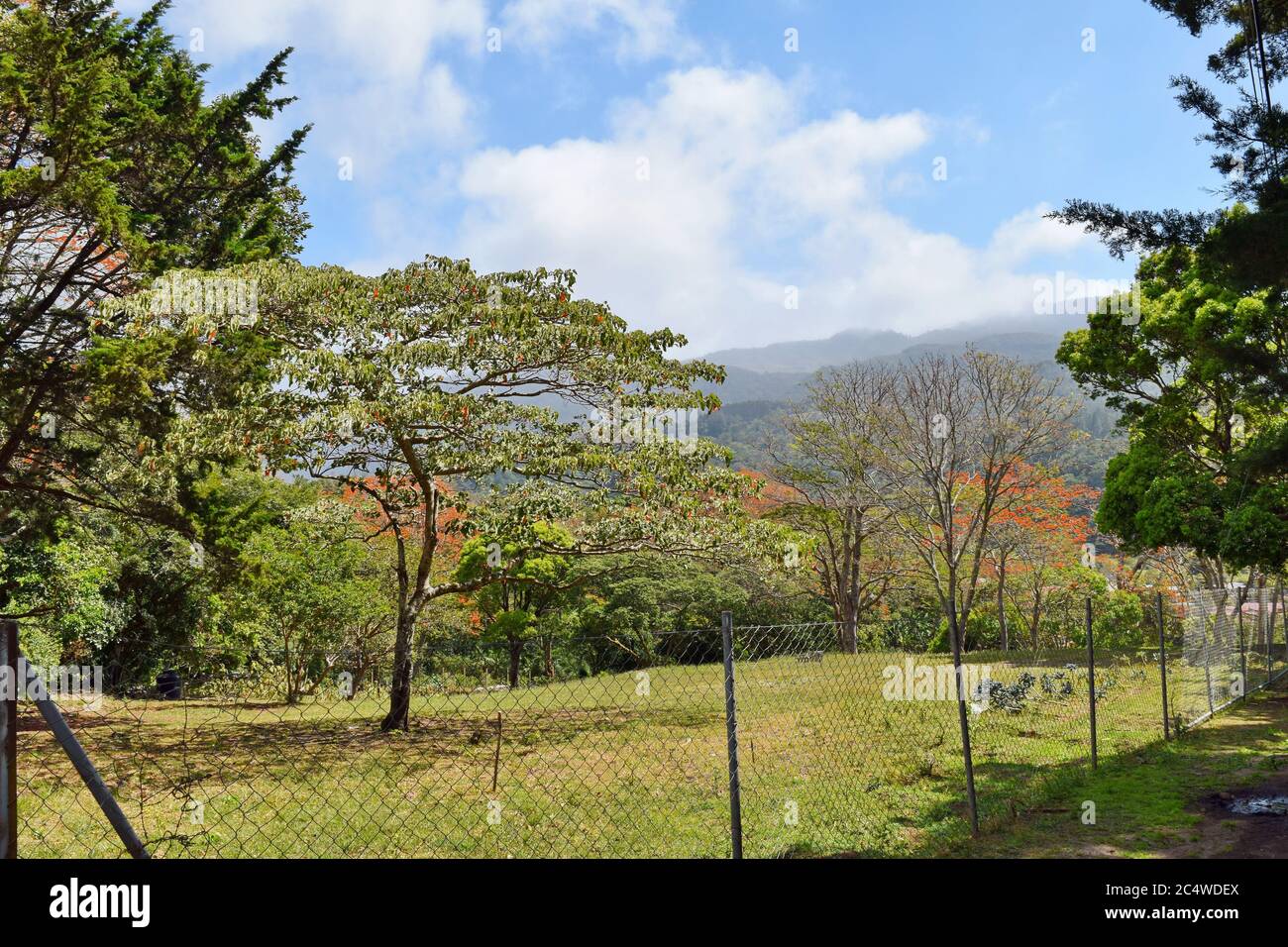 Landschaften von Boquete, Chiriqui, Panama Stockfoto