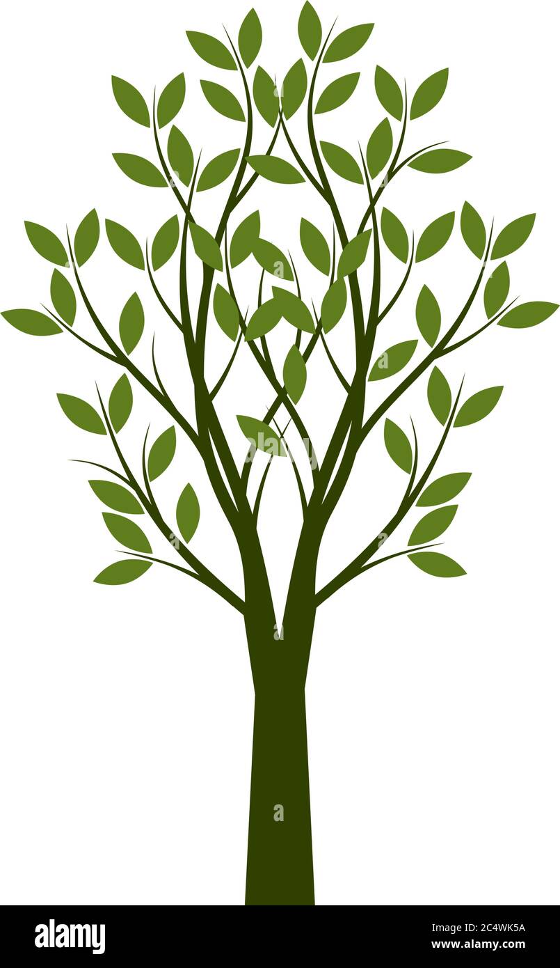 Grüner Baum mit Blättern. Vektor Kontur Abbildung. Pflanze im Garten. Stock Vektor