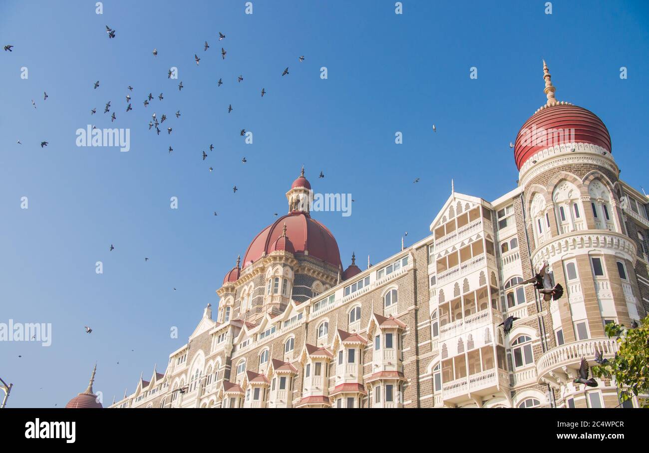 Taj Mahal Palace Hotel in Bombay auf dem Hintergrund der Tauben. Asien. Stockfoto