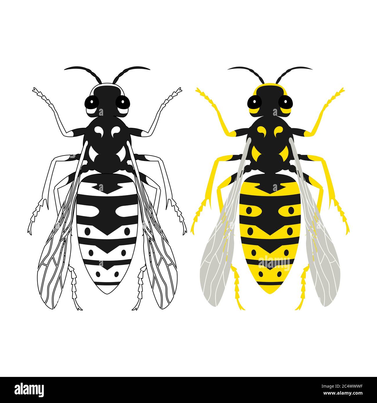 Vektor-Illustration einer Wespe in Farbe und schwarz-weiß. Insekt. Stock Vektor