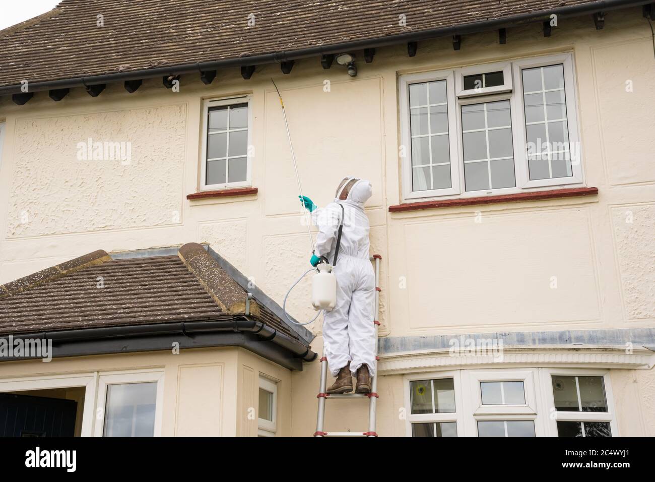 Nicht identifizierbare Schädlingskontrolle in Schutzkleidung auf einer Leiter Sprühen Wespenkiller Behandlung auf den Traufen eines Hauses. Hertfordshire, England, Großbritannien Stockfoto