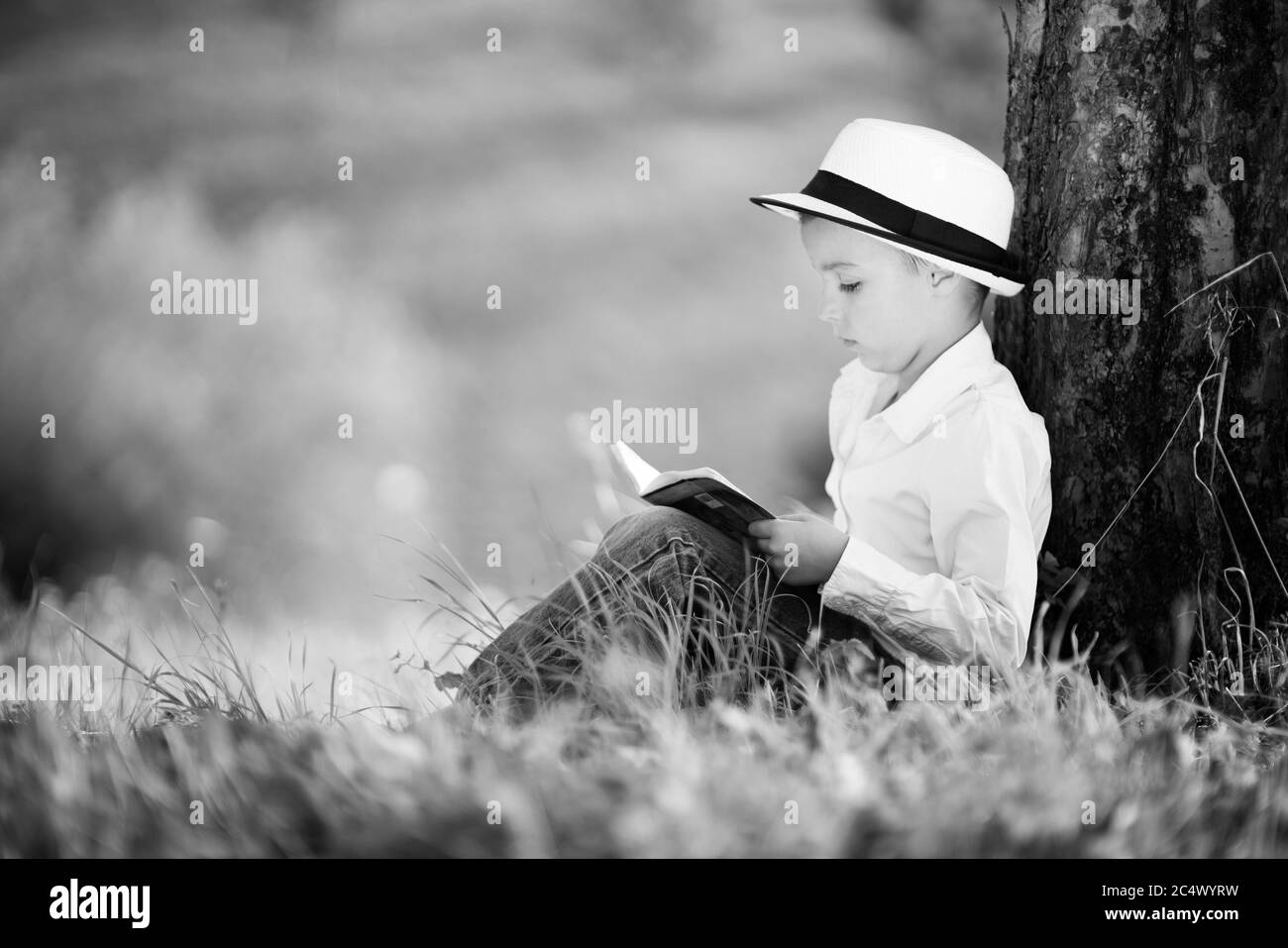 Der Junge liest ein Buch, das sich an einen Baum lehnt Stockfoto