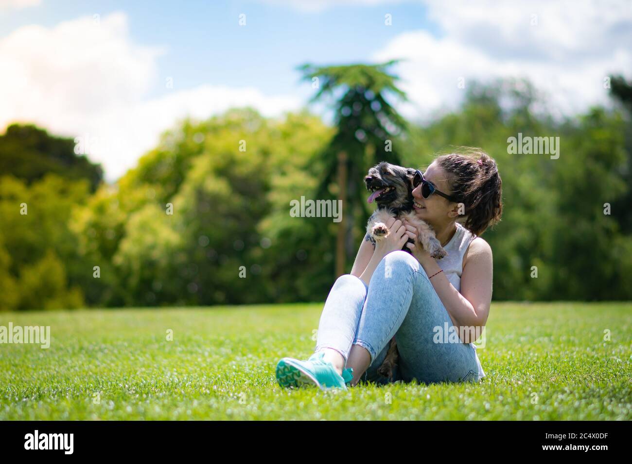 Junge Frau mit schönen yorkshire posiert und spielt sympathisch in einem Garten mit Gras und Bäumen. Stockfoto