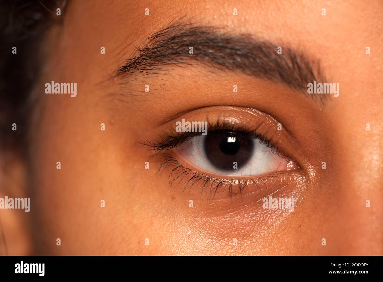 Natürliche Augenbraue und Auge ohne Make-up von dunkelhäutigen Weibchen Stockfoto