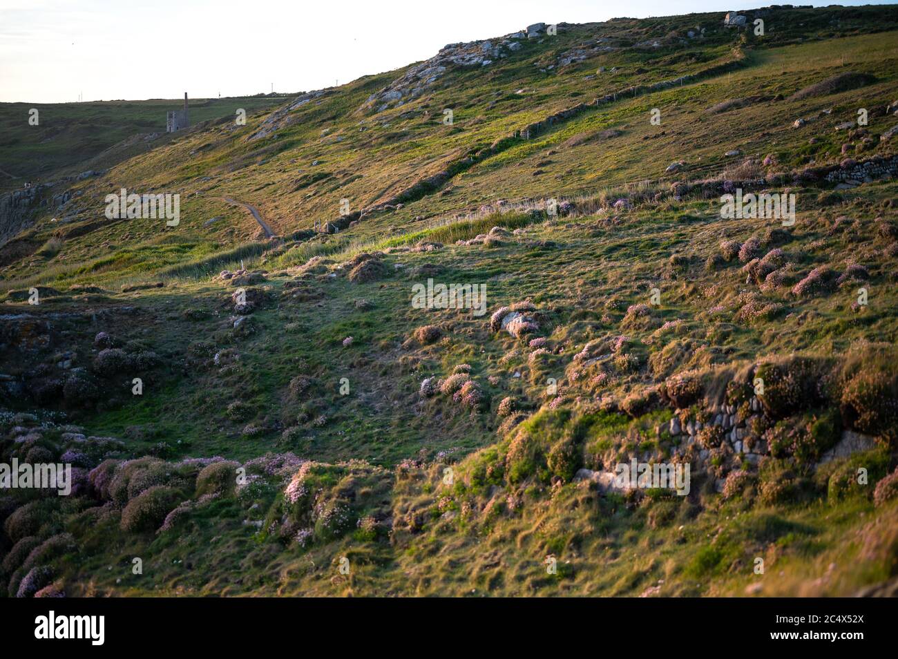 Beobachten des Sonnenuntergangs in Rinsey, Cornwall, Großbritannien Stockfoto