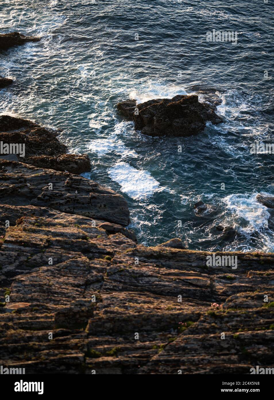 Ein schöner Küstenspaziergang auf dem Küstenpfad nach Godrevy, Cornwall, Großbritannien Stockfoto