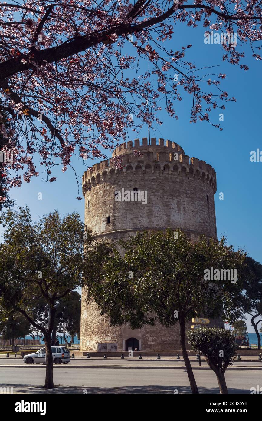 Weißer Turm von Thessaloniki in Griechenland, Kirschblüte Stockfoto